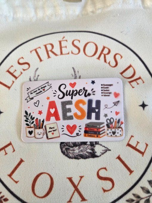 Magnet super ASTEM ou super AESH