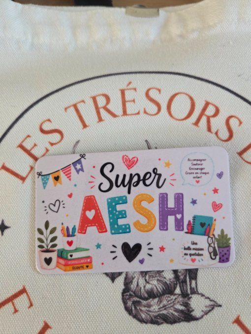 Magnet super ASTEM ou super AESH