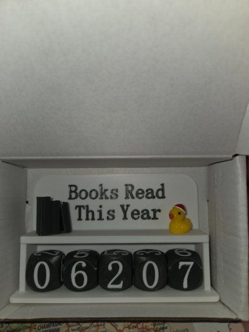 livres lus dans l'année petit canard